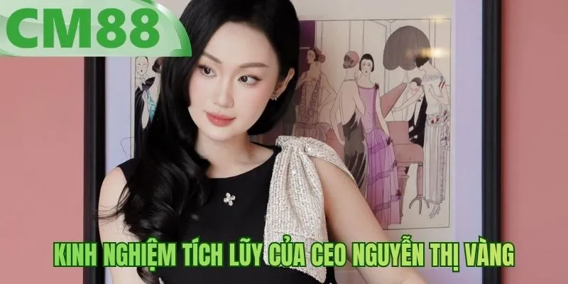 Kinh nghiệm tích lũy của CEO Nguyễn Thị Vàng