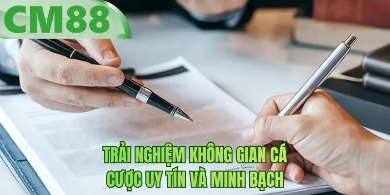 Trải nghiệm không gian cá cược uy tín và minh bạch